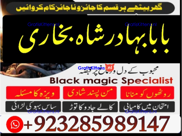 Amil Baba Online Istkhara | Uk ,UAE , USA | Astrologer | Love Marriage