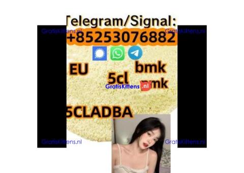 raw materials 5CL-ADBB 5cl-adb supplier 5cladba 5cladb 5F-ADBA mdma