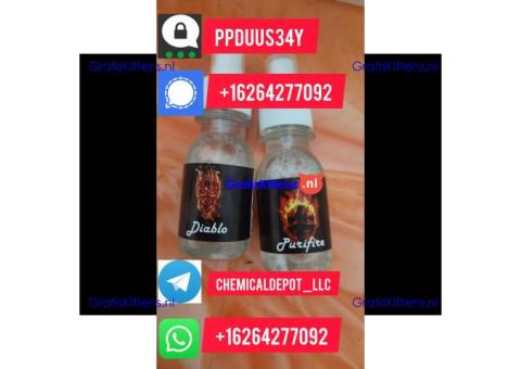 Wholesale CAS 7361-61-7  Xylazine HydrochloridePowder HCL 23076-35-9