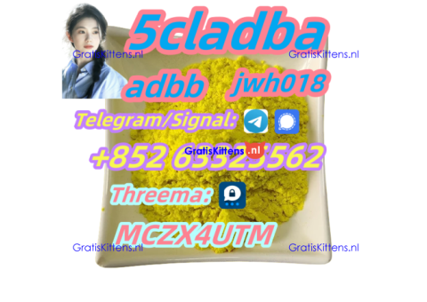 From China 5CL-ADB supplier 5cl 5cladba 5cl adb