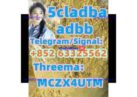 5cladba 5cl-adb-a 5cladb yellow powder 5cladba