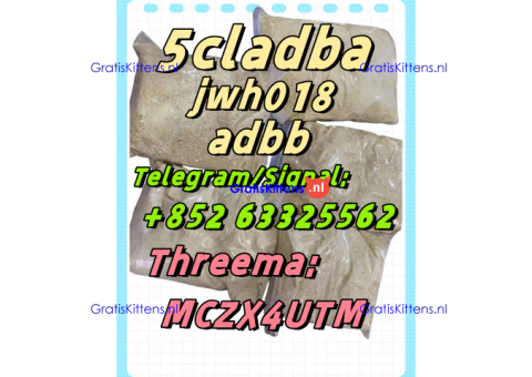 5CL-ADB powder supplier 5cl adb 5cladba in stock