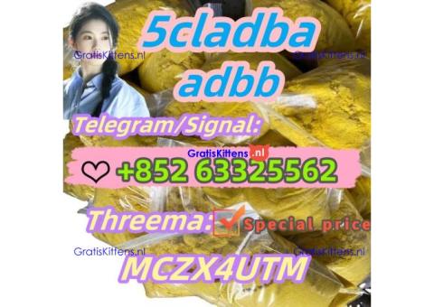 5CL-ADB-A 5CLADBA strongest effect 5cladb 5cl-adb powder