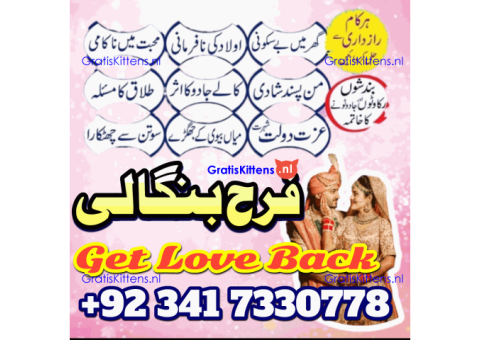 authentic amil baba in islamabad world famous astrologer in pakistan