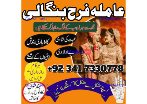 authentic amil baba in islamabad world famous astrologer in pakistan