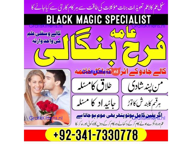 authentic amil baba in islamabad world famous astrologer in pakistan