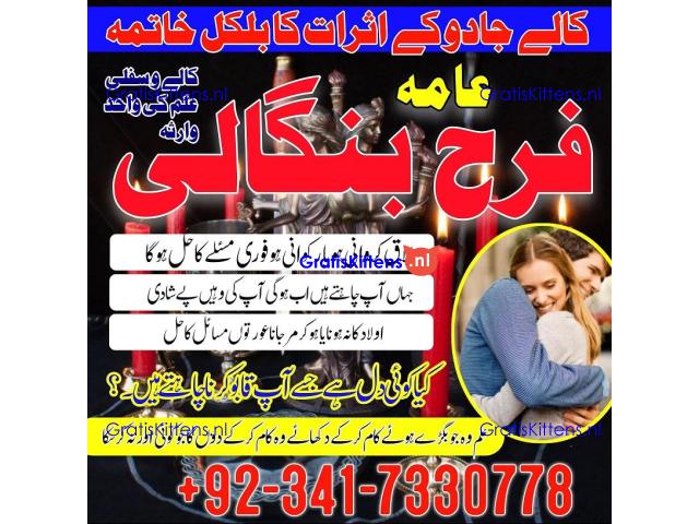 authentic amil baba in islamabad world famous astrologer in pakistan