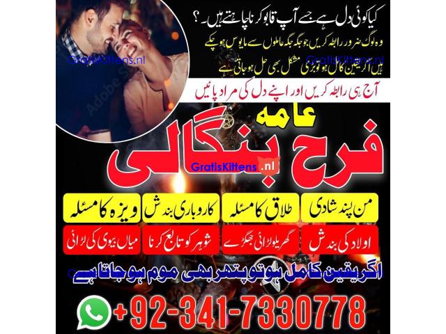 authentic amil baba in islamabad world famous astrologer in pakistan