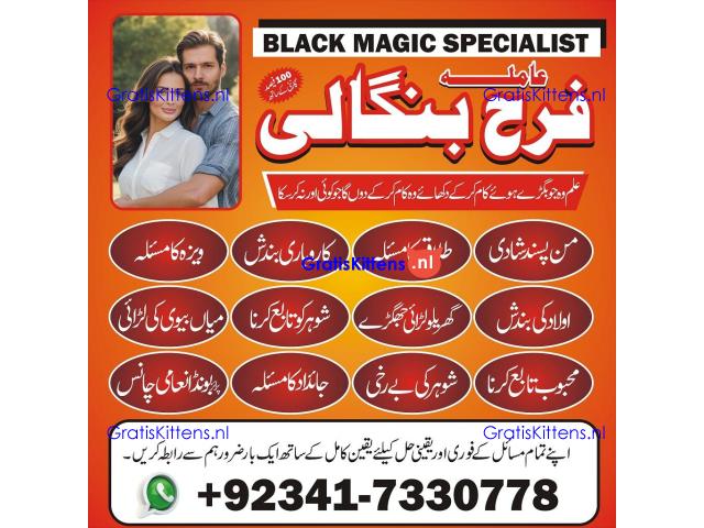 authentic amil baba in islamabad world famous astrologer in pakistan