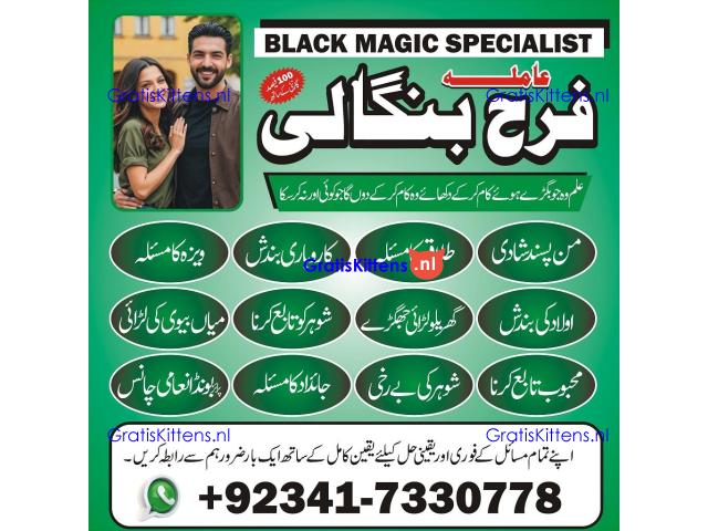 authentic amil baba in islamabad world famous astrologer in pakistan