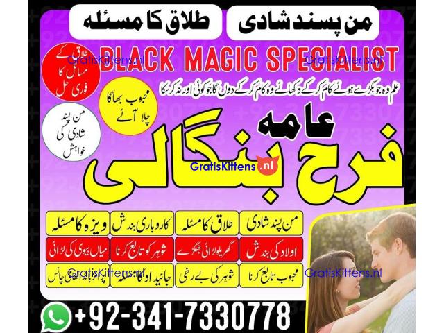 authentic amil baba in islamabad world famous astrologer in pakistan