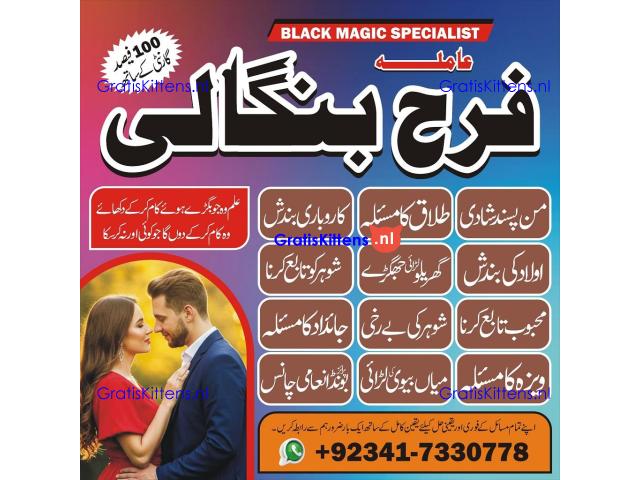 authentic amil baba in islamabad world famous astrologer in pakistan