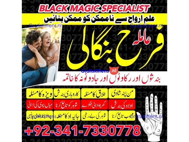 authentic amil baba in islamabad world famous astrologer in pakistan