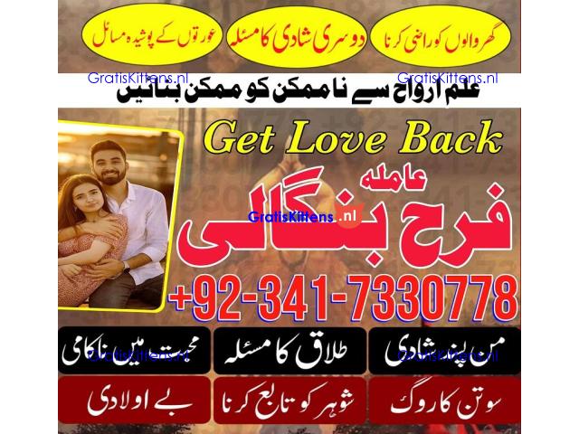 authentic amil baba in islamabad world famous astrologer in pakistan