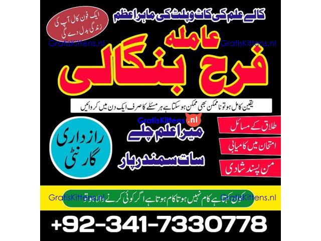 authentic amil baba in islamabad world famous astrologer in pakistan