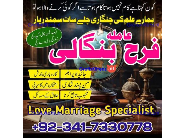 authentic amil baba in islamabad world famous astrologer in pakistan