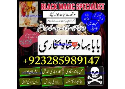 Amil Baba | No1+ UAE online istikhara for love marriage vashikaran specialist love problem solutio