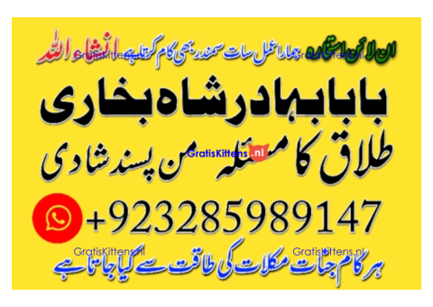 Amil Baba | No1+ UAE online istikhara for love marriage vashikaran specialist love problem solutio