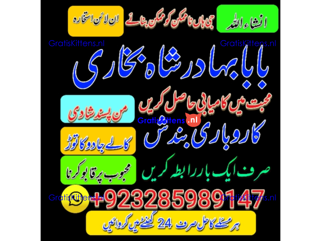 Amil Baba | No1+ UAE online istikhara for love marriage vashikaran specialist love problem solutio