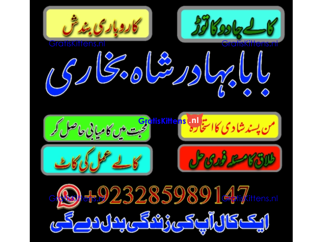 Amil Baba | No1+ UAE online istikhara for love marriage vashikaran specialist love problem solutio