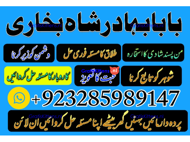 Amil Baba | No1+ UAE online istikhara for love marriage vashikaran specialist love problem solutio