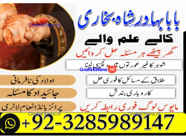 Amil Baba | No1+ UAE online istikhara for love marriage vashikaran specialist love problem solutio