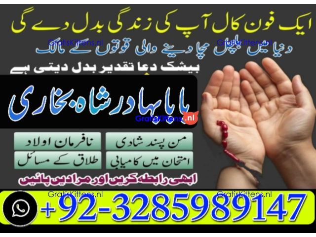 Amil Baba | No1+ UAE online istikhara for love marriage vashikaran specialist love problem solutio