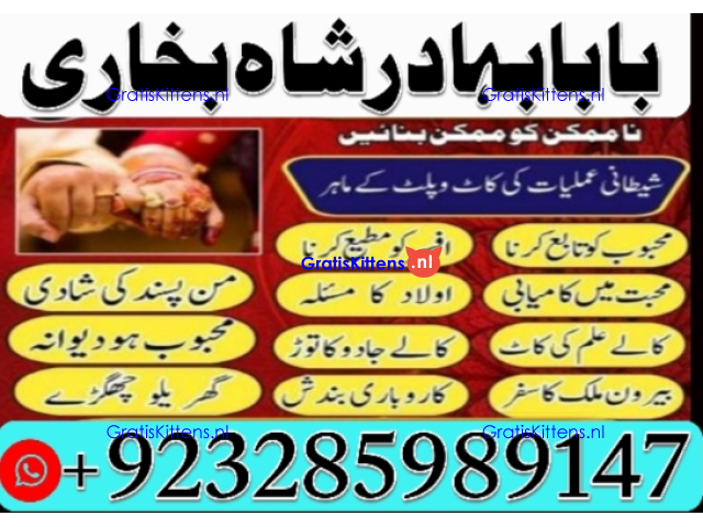 Amil Baba | No1+ UAE online istikhara for love marriage vashikaran specialist love problem solutio