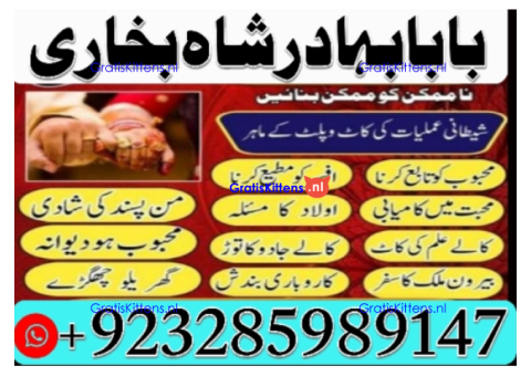 Amil Baba | No1+ UAE online istikhara for love marriage vashikaran specialist love problem solutio