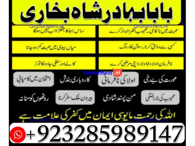 Amil Baba | No1+ UAE online istikhara for love marriage vashikaran specialist love problem solutio