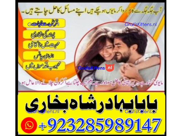 Amil Baba | No1+ UAE online istikhara for love marriage vashikaran specialist love problem solutio
