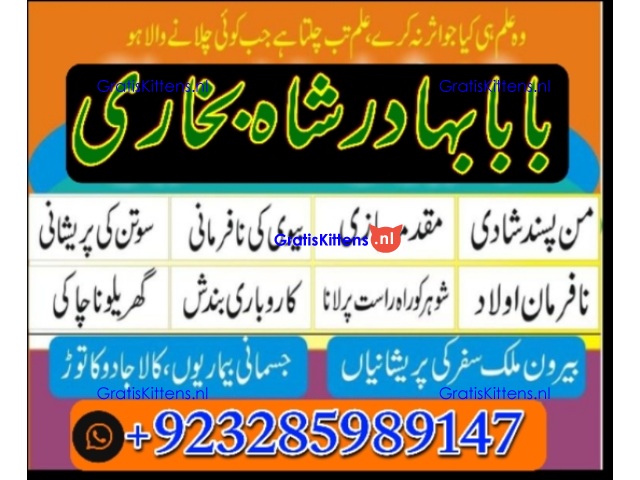 Amil Baba | No1+ UAE online istikhara for love marriage vashikaran specialist love problem solutio