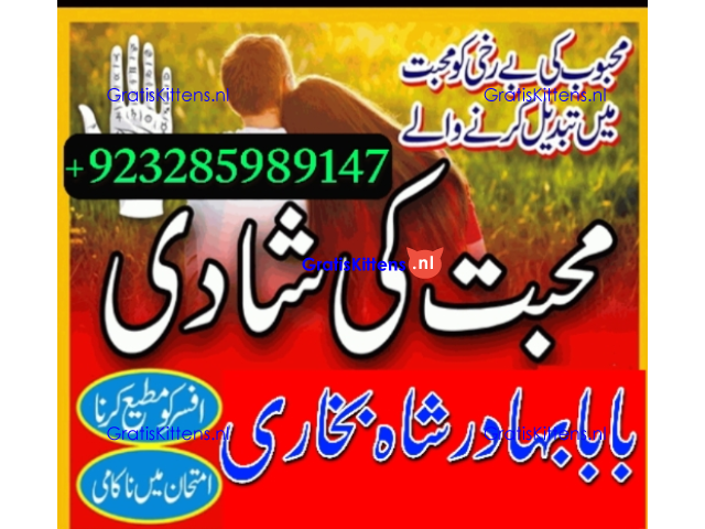 Amil Baba | No1+ UAE online istikhara for love marriage vashikaran specialist love problem solutio