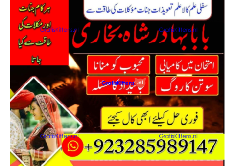Amil Baba | No1+ UAE online istikhara for love marriage vashikaran specialist love problem solutio