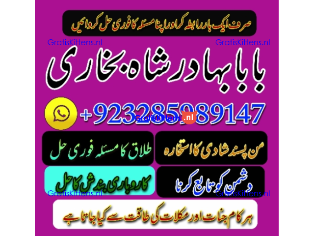 Amil Baba | No1+ UAE online istikhara for love marriage vashikaran specialist love problem solutio