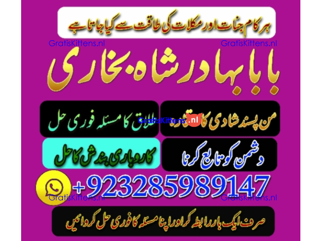Amil Baba | No1+ UAE online istikhara for love marriage vashikaran specialist love problem solutio