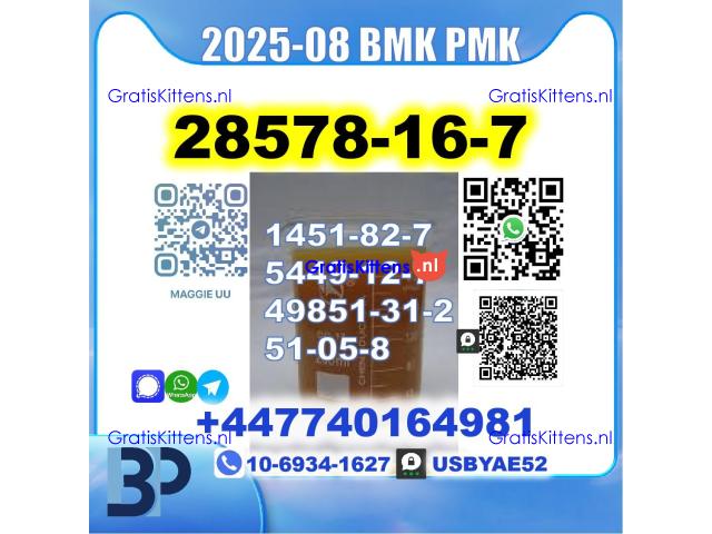 PMK 28578-16-7 BMK 5449-12-7,49851-31-2,1451-82-7,51-05-8 Safe Delivery