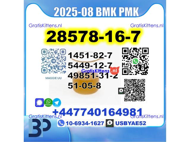 PMK 28578-16-7 BMK 5449-12-7,49851-31-2,1451-82-7,51-05-8 Safe Delivery