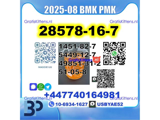 PMK 28578-16-7 BMK 5449-12-7,49851-31-2,1451-82-7,51-05-8 Safe Delivery