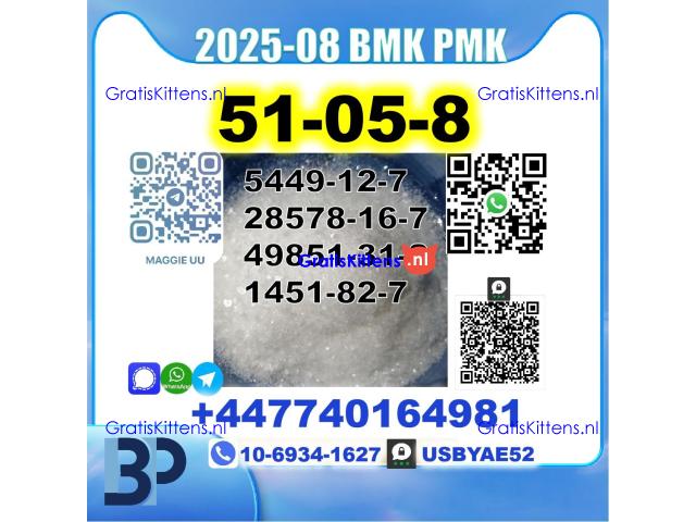 Procaine HCl 51-05-8,5337-93-9,137-58-6,59-46-1,2050-07-9,14883-50-8,7553-56-2 BMK PMK Safe Delivery