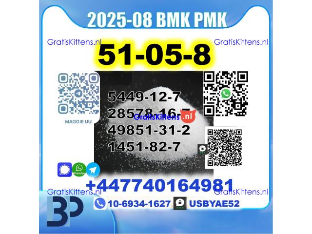 Procaine HCl 51-05-8,5337-93-9,137-58-6,59-46-1,2050-07-9,14883-50-8,7553-56-2 BMK PMK Safe Delivery