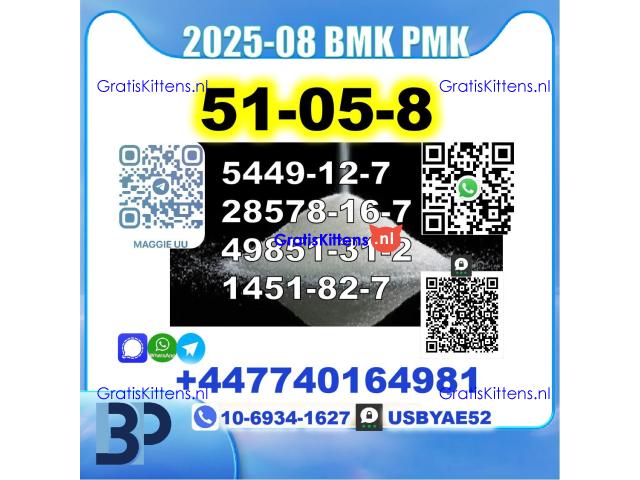 Procaine HCl 51-05-8,5337-93-9,137-58-6,59-46-1,2050-07-9,14883-50-8,7553-56-2 BMK PMK Safe Delivery