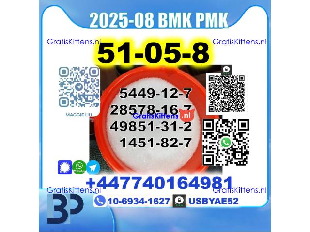 Procaine HCl 51-05-8 BMK PMK 5449-12-7,28578-16-7,49851-31-2,1451-82-7 Source Factory