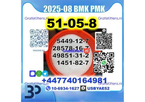 Procaine HCl 51-05-8 BMK PMK 5449-12-7,28578-16-7,49851-31-2,1451-82-7 Source Factory
