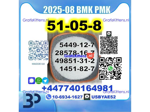 Procaine HCl 51-05-8 BMK PMK 5449-12-7,28578-16-7,49851-31-2,1451-82-7 Source Factory
