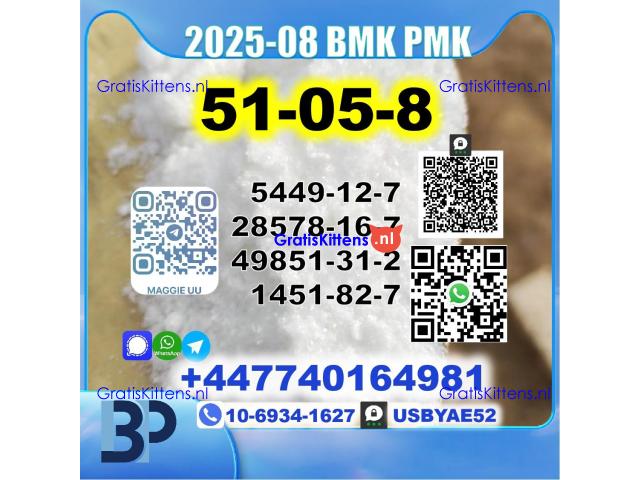 Procaine HCl 51-05-8 BMK PMK 5449-12-7,28578-16-7,49851-31-2,1451-82-7 Source Factory
