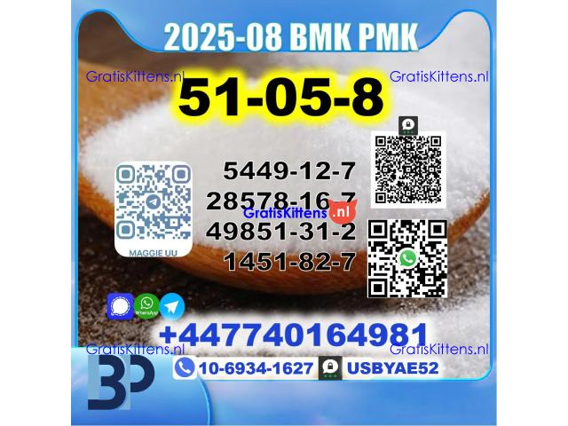 Procaine HCl 51-05-8 BMK PMK 5449-12-7,28578-16-7,49851-31-2,1451-82-7 Source Factory