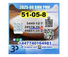 Procaine HCl 51-05-8 BMK PMK 5449-12-7,28578-16-7,49851-31-2,1451-82-7 Source Factory