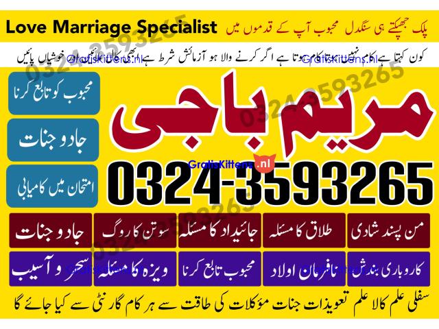 amil baba REAL amil baba TOP ranked AMIL BABA 03243593265 amil baba contact number