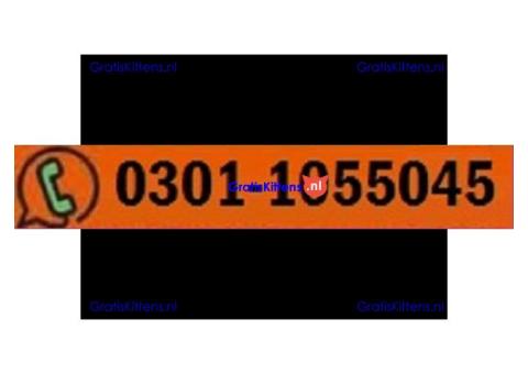 Vagina Tightening Cream In Pakistan | 03011055045 | Buy Now
